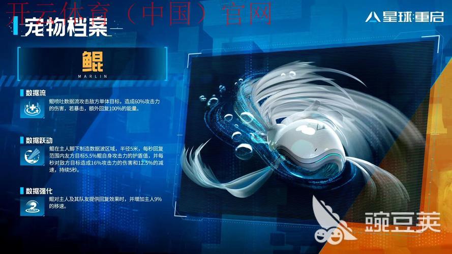 开云体育登录界面，账号安全性与保护策略